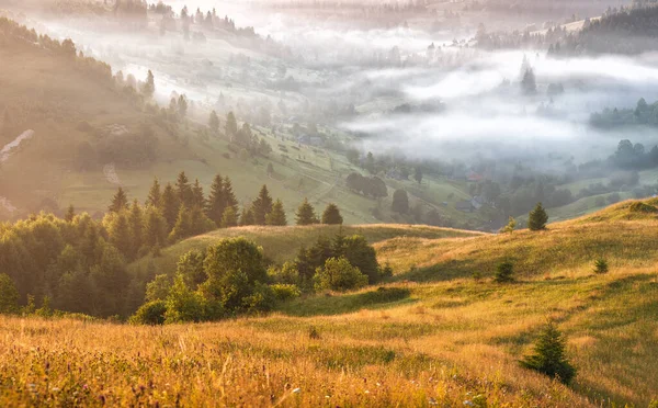 Rolling Alpine Hills Covered Morning Fog Beautiful Idyllic Landscape Carpathians — Stock Photo, Image