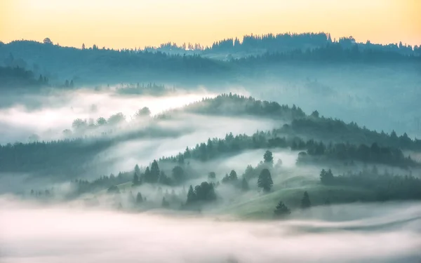 Majestätischer Blick Auf Das Mit Nebel Bedeckte Alpental Licht Des — Stockfoto
