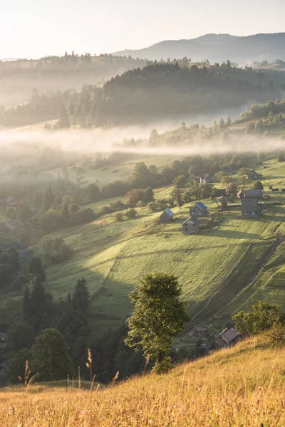 Poranna Mgła Wzgórzach Górskiej Wioski Piękny Idylliczny Krajobraz Karpaty Ukraina — Zdjęcie stockowe