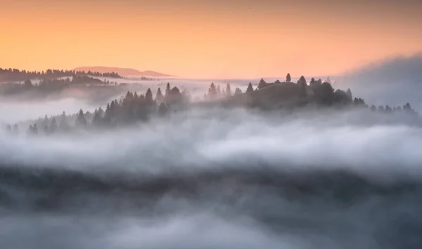 Vue Colorée Sur Vallée Alpine Couverte Brouillard Dans Une Lumière — Photo