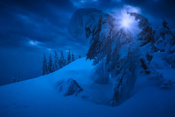 Bright Moon Light Frozen Mountain Valley Covered Fresh Snow Wonderful — Stock Photo, Image