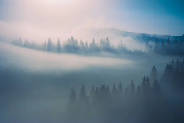 神奇的黄雾 — 图库照片