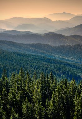 Carpatian dağın Vadisi 2