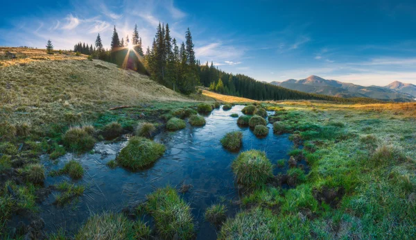 Carpathian mountain valley