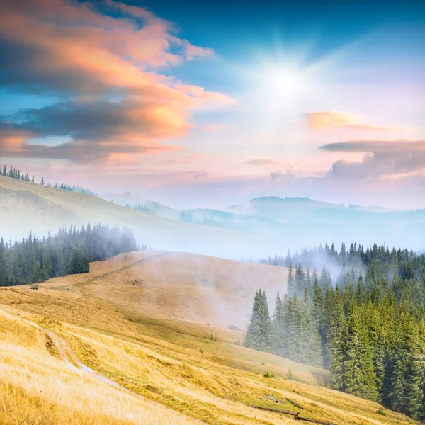 Carpathian mountain valley — Stock Photo, Image