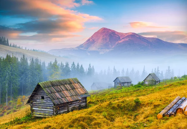 Vallei van de berg van de Karpaten — Stockfoto