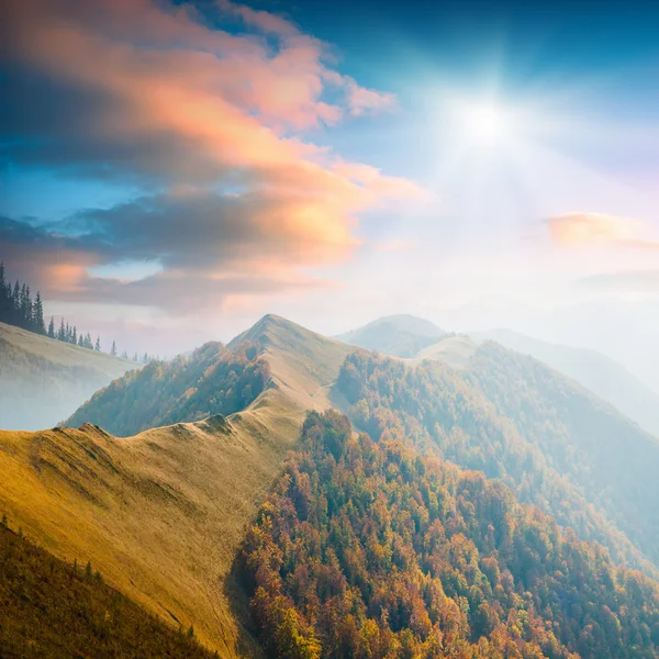 Карпатская горная долина — стоковое фото