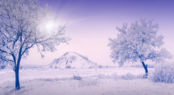 Koude winterochtend — Stockfoto