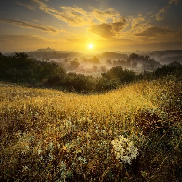 Ukrainian prairie valley. — Stock Photo, Image