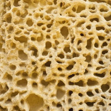 yıpranmış kumtaşı doku