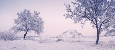 Kar Kış Manzarası
