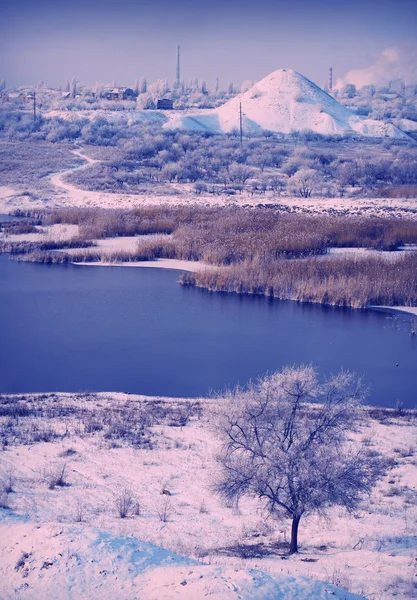 Árbol solitario sobre el lago y el montón de escombros —  Fotos de Stock