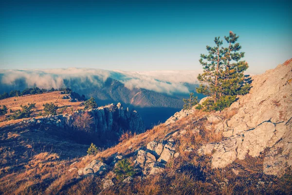 Crimea mountain valley — Stock Photo, Image