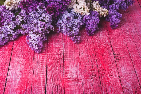 다양 한 라일락 꽃 — 스톡 사진
