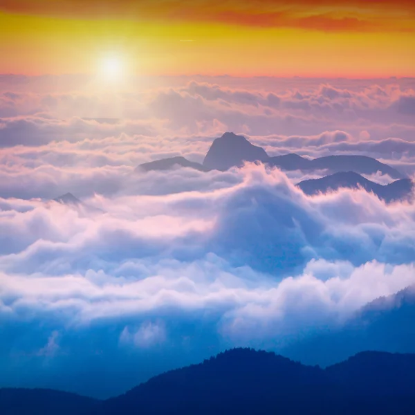 Alte montagne alba — Foto Stock