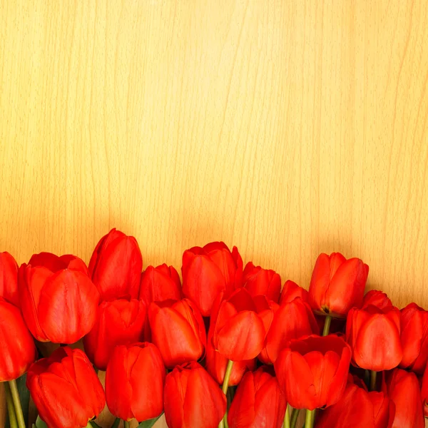 木制背景上的红色郁金香 — 图库照片