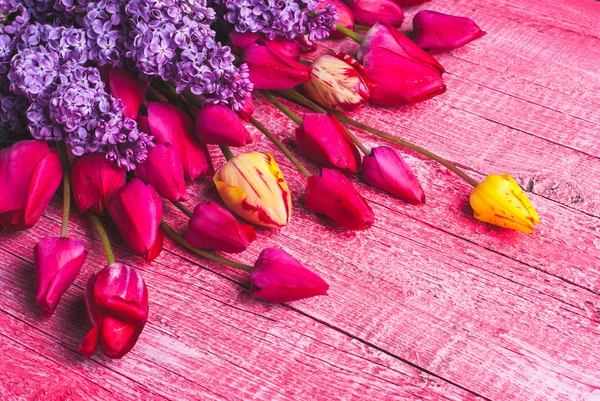 Różne kolorowe tulipany — Zdjęcie stockowe