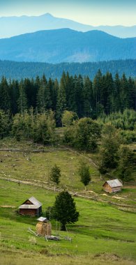 Carpatian dağ Vadisi