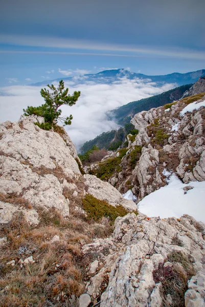Vallei in Crimea bergen — Stockfoto