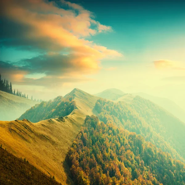 Carpathian mountain valley — Stock Photo, Image