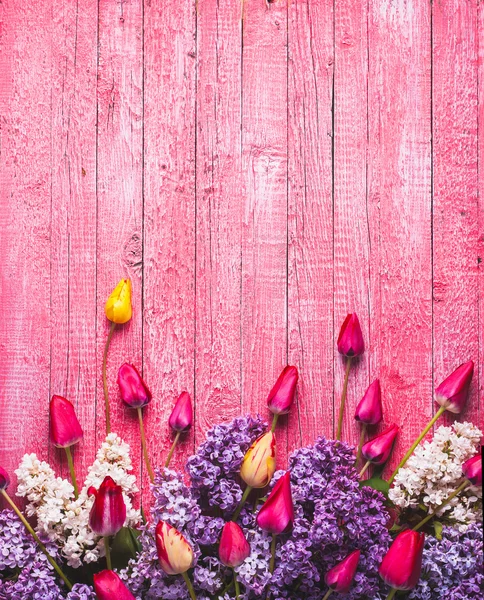Varios tulipanes y lila — Foto de Stock