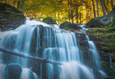 Şelale Karpatya sonbahar ormanı