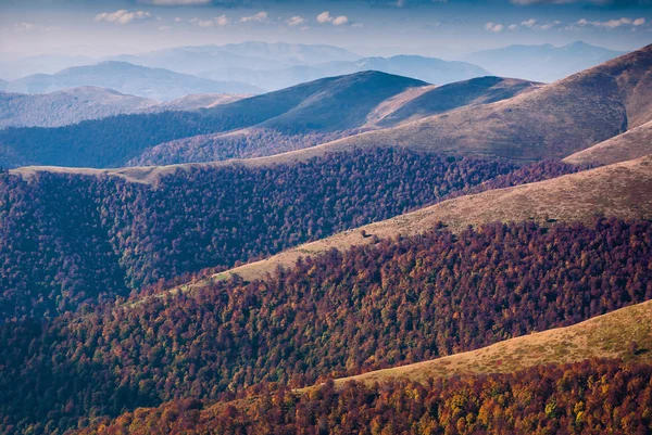 Sonbahar dağ Vadisi — Stok fotoğraf