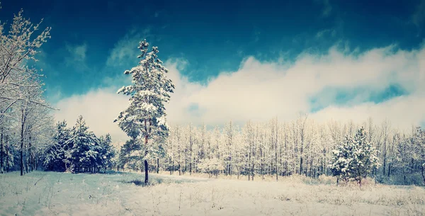 Bellissimo paesaggio invernale vintage — Foto Stock