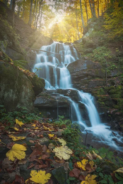 カルパチアの滝の森. — ストック写真