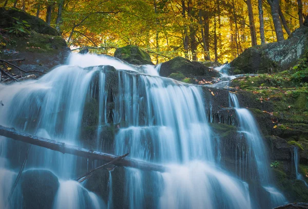 Şelale Karpatya sonbahar ormanı