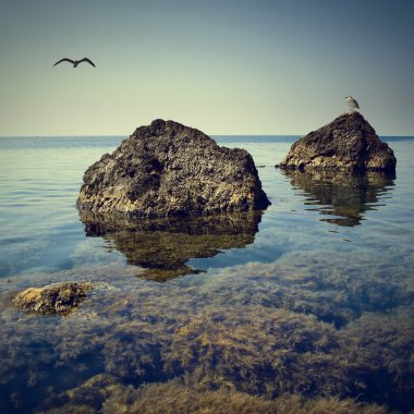Crimea deniz manzarası kayalık plaj