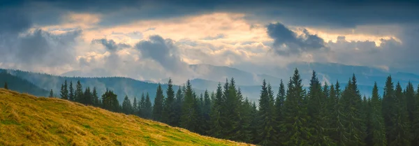 Carpathian stormy weather — Stock Photo, Image