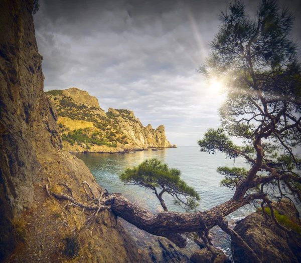 Bahía de mar de Crimea — Foto de Stock