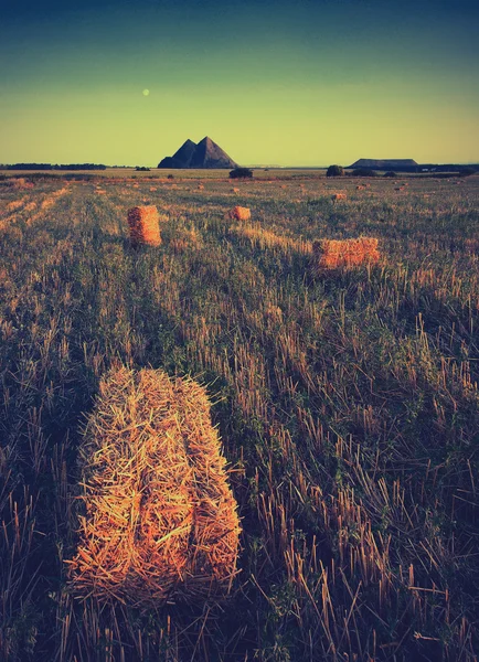 Campo con slagheap en skyline — Foto de Stock