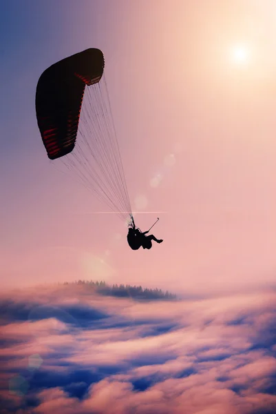 Flying paraglide silhouette — Stock Photo, Image