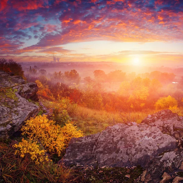 Nascer do sol no vale nebuloso ucraniano . — Fotografia de Stock