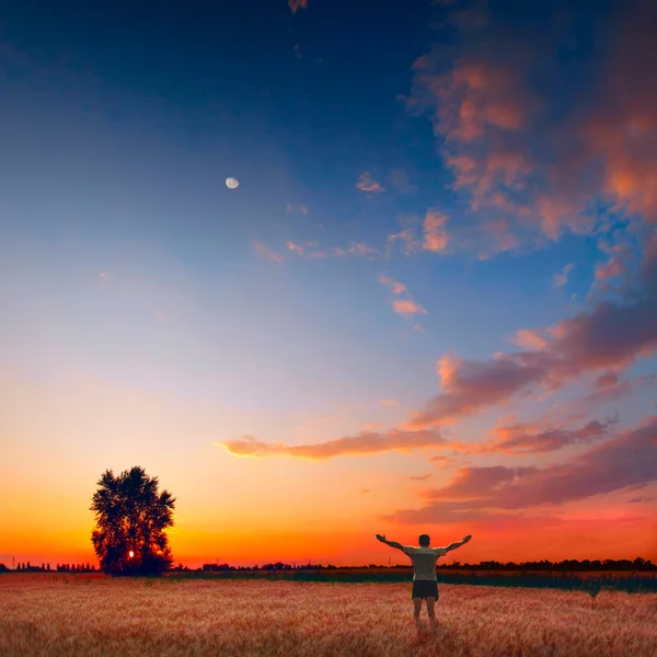 Human in a wheat field — Stock Photo, Image