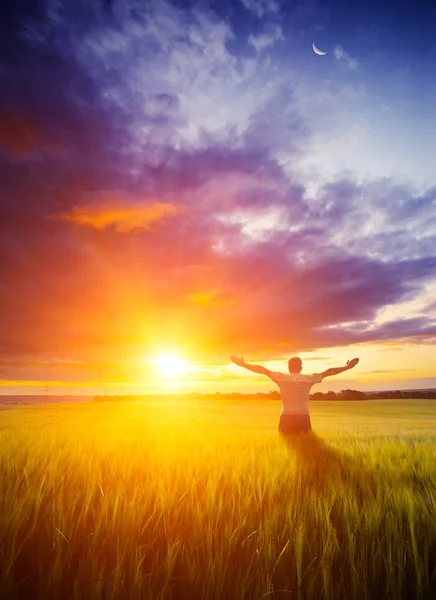 Field with little man — Stock Photo, Image