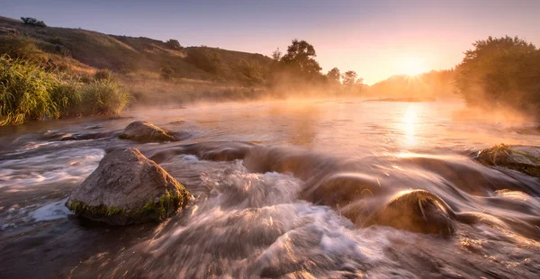 황금 강 아침 — 스톡 사진