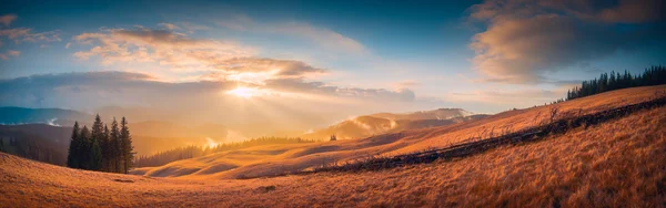 Carpathian mountain valley — Stock Photo, Image