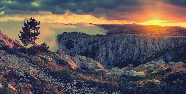 Büyük vadi günbatımı — Stok fotoğraf