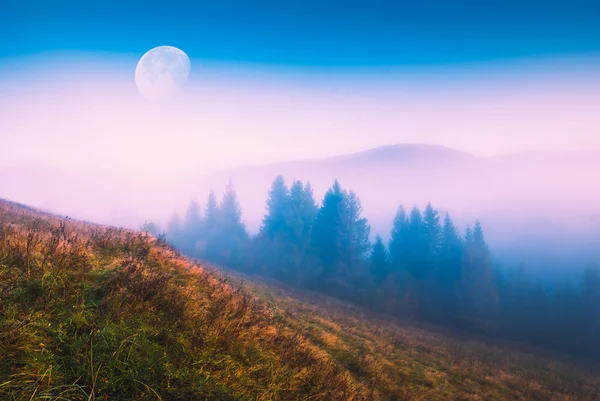 Gran luna naciendo — Foto de Stock