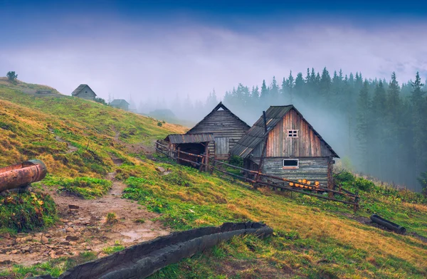 Casas em uma montanha dos Cárpatos — Fotografia de Stock