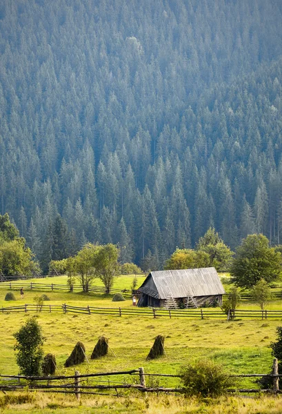 Huis in bergbos — Stockfoto