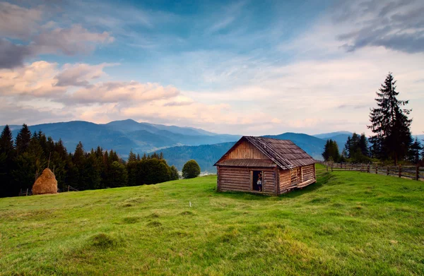 Mountain Carpathian valley — Stock Photo, Image
