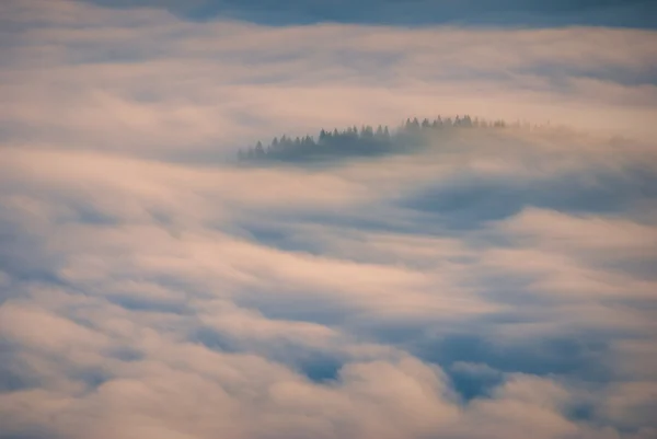 Nebel in den Karpaten — Stockfoto