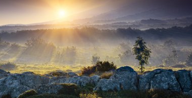 Sunrise Misty Vadisi