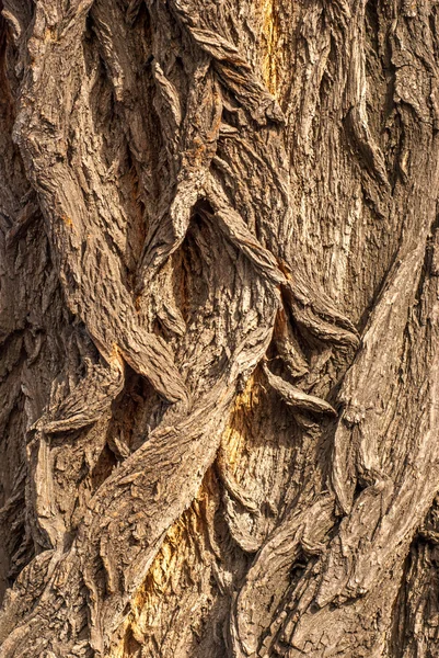 Abstrakt grunge bakgrund — Stockfoto