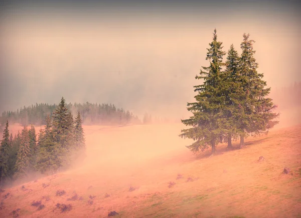 Luce del sole rosso — Foto Stock