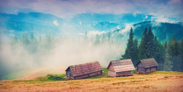 Туманные Карпатские горы, винтаж — стоковое фото